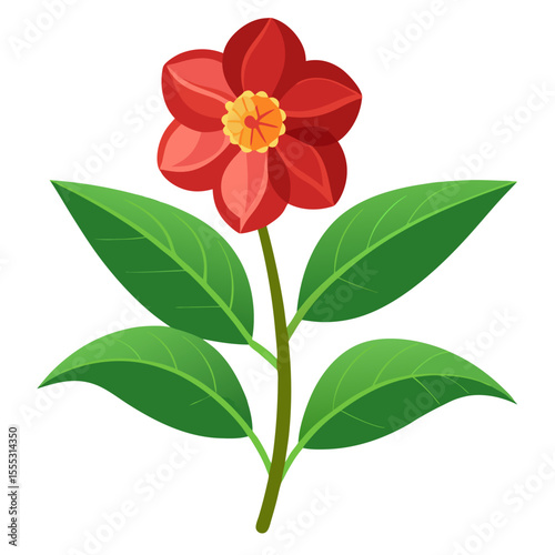 white background on flower 	Balsam