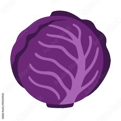 red cabbage illustration vector on white background
Vector illustration icon fruits, vegetables on white background