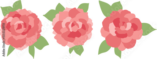 Flat Vector Illustration of Pink Carnation Flower Icons Set for Greeting Cards and Decoration