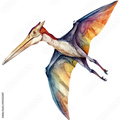 Pterodactyl, watercolor vector, isolated on a white background.