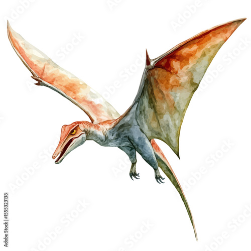Pterodactyl, watercolor painting vector, isolated on a white background.