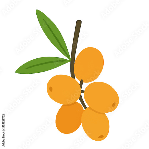 sea ​​buckthorn illustration vector on white background
Vector illustration icon fruits, vegetables on white background