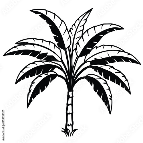 Stylized black and white illustration of a tropical banana tree with lush fronds and a textured trunk standing on a patch of grass