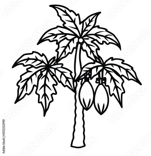 A stylized black and white line drawing of a papaya tree with two ripe fruits hanging from its branches showcasing its tropical nature and simple artistic representation