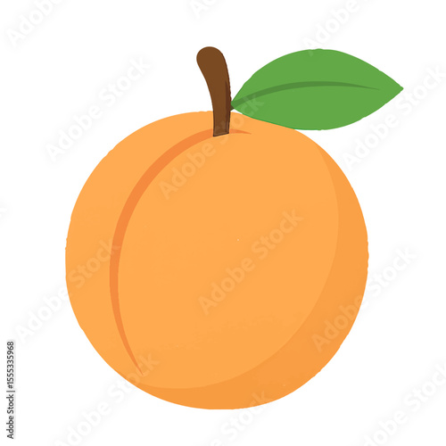 apricot illustration vector on white background
Vector illustration icon fruits, vegetables on white background
