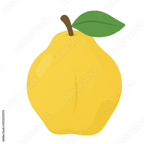 quince illustration vector on white background
Vector illustration icon fruits, vegetables on white background
