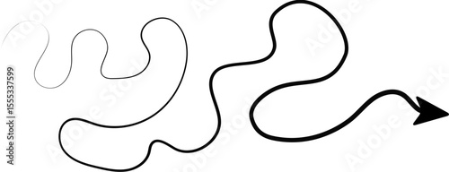 Arrow displays multiple flowing curves and a defined curl, with a progressive tapering stroke.