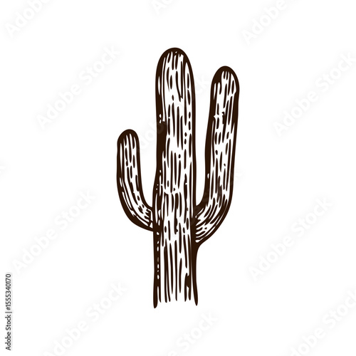 Hand-drawn brown cactus vector with desert texture in rustic line style, perfect for boho wall art, southwestern decor, adventure travel illustrations and eco-friendly organic packaging design