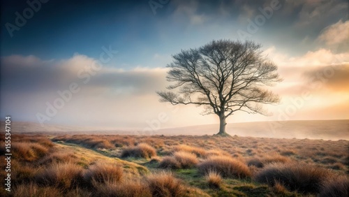 Atmospheric, mist-shrouded moorland landscape with a lone bare tree standing sentinel against the veil of fog, moor