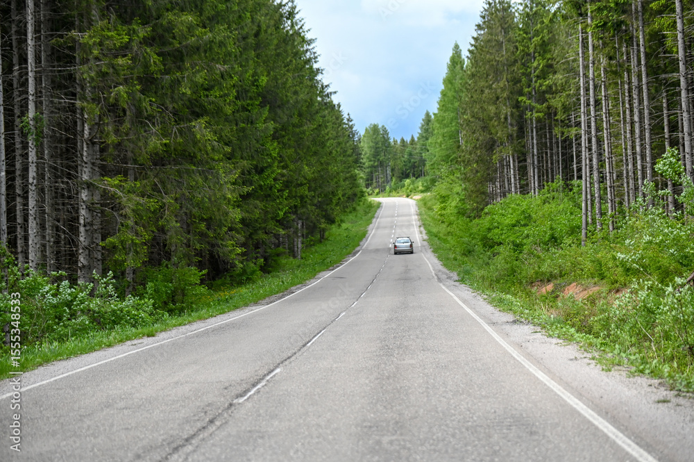 Fototapeta premium Car on a long straight road in the forest on the mountain. Asphalt road between the trees in the forest. Travel in the nature. 