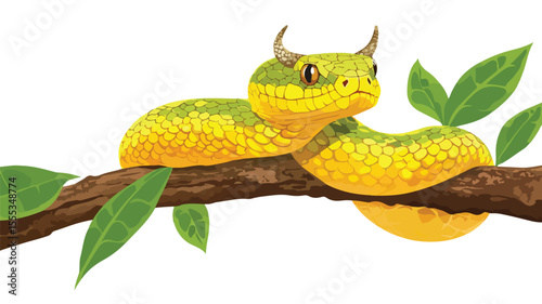 Green Bush or Leaf Viper Rests on Tree Branch in Tropical Rainforest