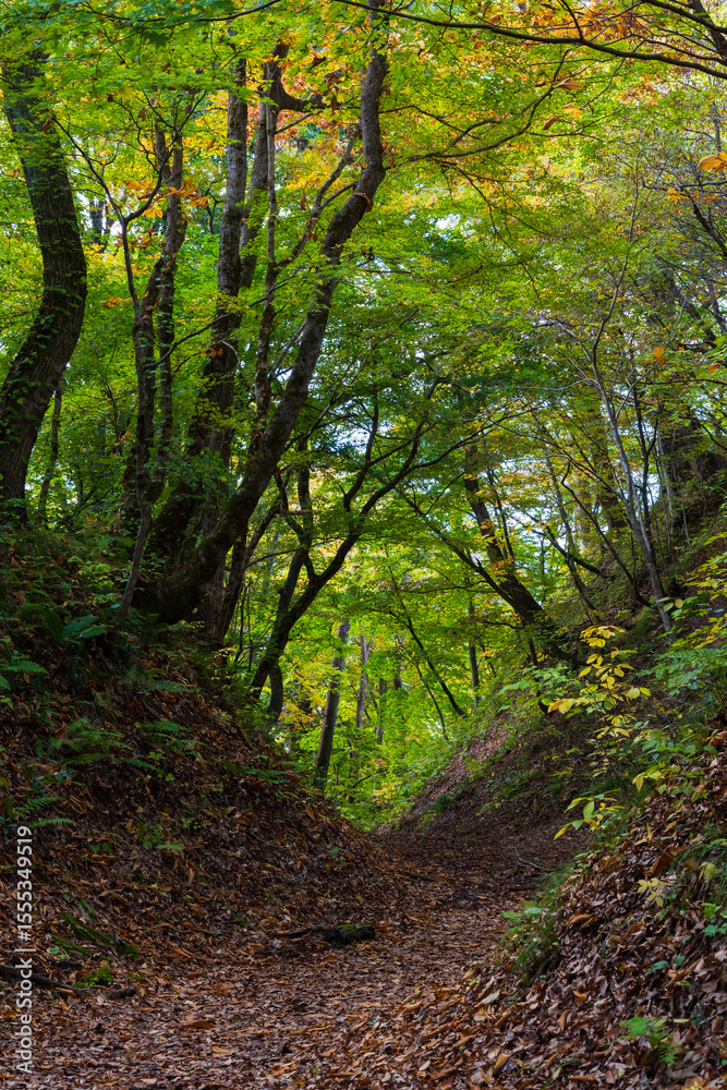 日本の風景・秋 青森県黒石市 紅葉の中野もみじ山 日本の風景・秋 青森県黒石市 紅葉の中野もみじ山