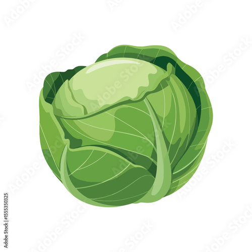 Fresh and Vibrant Cabbage Head A Culinary Delight Depicting Healthy Eating and Organic Produce Freshness and Nutritional Benefits Vegetable