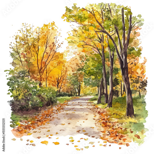 Path Through Park Leaves, watercolor illustration vector, isolated on a white background.