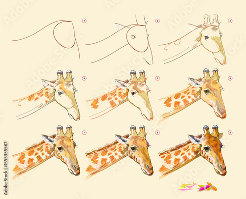 Page shows how to learn to draw from life sketch of the giraffe. Creation step by step painting with pastel chalks. Educational page for artists. Hand drawn vector illustration.