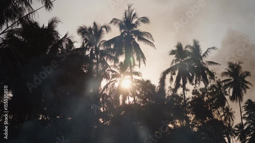 The rising smoke is set against palm trees and the sunset in an Asian landscape