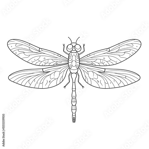 A symmetrical dragonfly illustration with finely detailed wings and a segmented body, drawn in clean black-and-white line art.