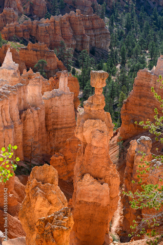 Thor’s Hammer rock formation and other hoodoos in morning light, summer vacation exploring in Bryce Canyon National Park, Utah
