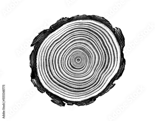 Black and white stamp of wood texture of tree rings from a slice of log. Negative image of cut tree slice, isolated on white background