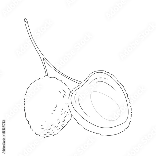 Lychee Line or Icon On Colored Base