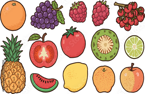 Fresh fruit medley vector illustration healthy eating
