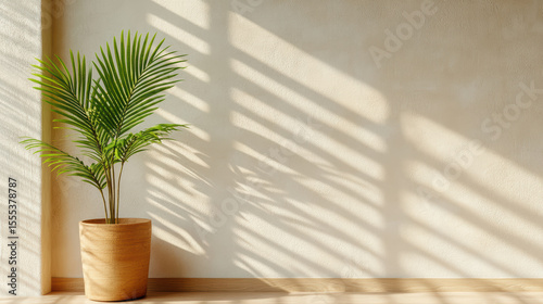Lush green plant in wooden pot casting shadows on textured wall, creating serene atmosphere