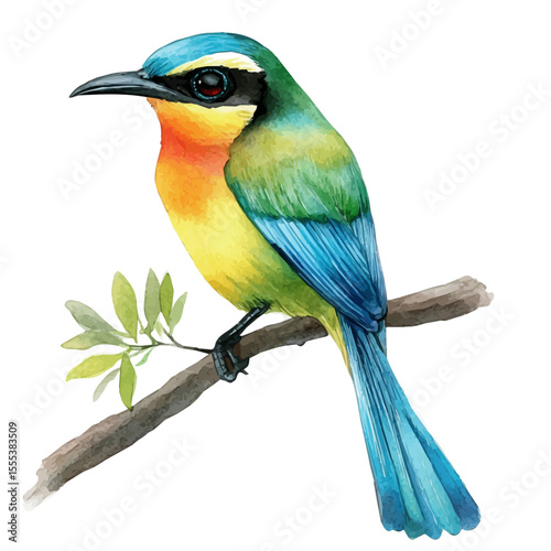 Canvas Print Motmot Close Up, watercolor vector, isolated on a white background