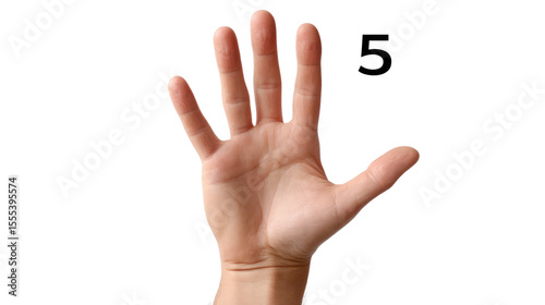Counting Hand: A simple image of a hand displaying the number five, showcasing the art of counting.
