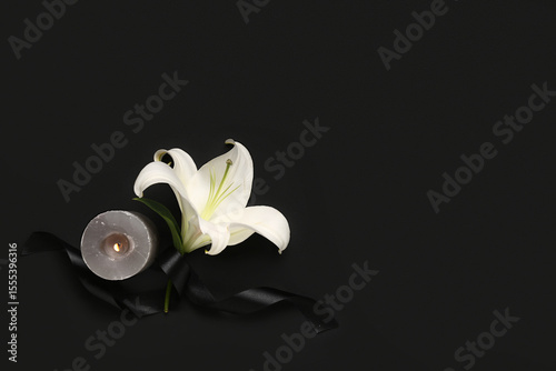 Beautiful lily flower with ...