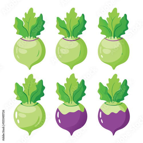 six kohlrabi vegetable separately set  isolated  on white background