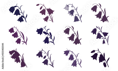 Bundle Bellflower Hanging Bloom Flat Purple Tone Botan (5) 31 Bellflower Hanging Bl