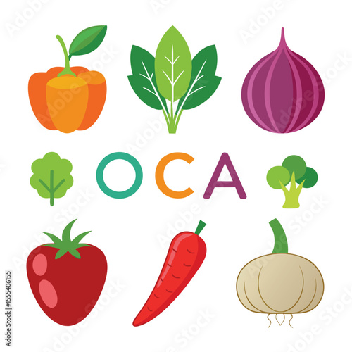 six oca vegetable separately set  isolated  on white background