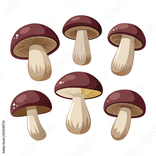 six portobello mushroom vegetable separately set  isolated  on white background