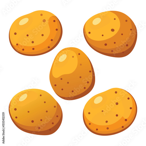 six potato vegetable separately set  isolated  on white background