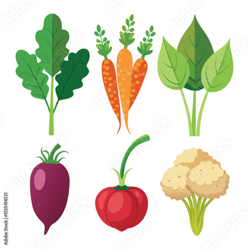 six quinoa vegetable separately set  isolated  on white background