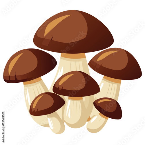 six shiitake mushrooms vegetable separately set  isolated  on white background