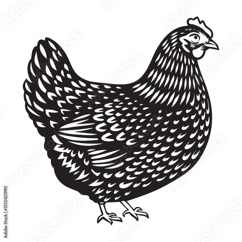 hen vector art-01.eps