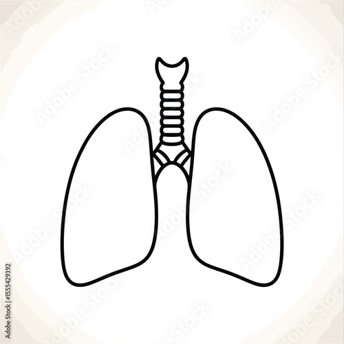 Simple outline drawing of human lungs and trachea on a white background