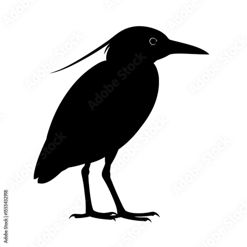 Elegant Silhouette of a Night Heron with Distinctive Crested Head