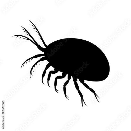 Silhouette of an Ostracod with Delicate Feathery Antennae and Jointed Legs