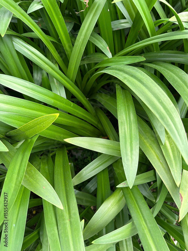 Plant motif composition, Leaf-patterned styling

