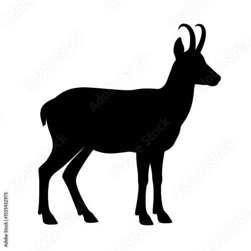 Chamois silhouette with striking curved horns on white background