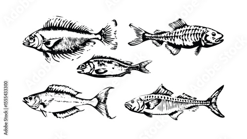 Fish Anatomy Icon Pack in Stipple Ink Style. Black and White Vector Collection of Vintage Marine Biology Illustrations. Scientific Engraving Set