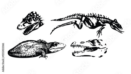 Reptile Anatomy Icon Pack in Stipple Ink Style. Black and White Vector Collection of Isolated Lizard, Snake, and Turtle Parts. Vintage Engraving Set