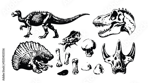 Dinosaur Anatomy Icon Pack in Stipple Ink Style. Black and White Vector Collection of Prehistoric Skeletons. Vintage Paleontology Illustration Set