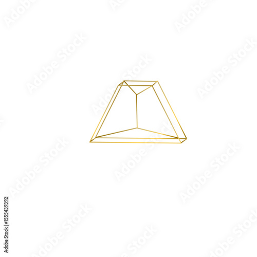 Gold abstract wire frame