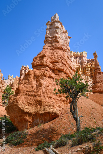 Looking up from base of the amphitheater on queens trail at dramatic orange rock hoodoos, summer vacation exploring in Bryce Canyon National Park, Utah

