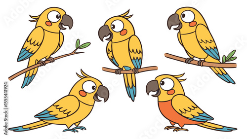 6 pcs cute parrots isolated on white background