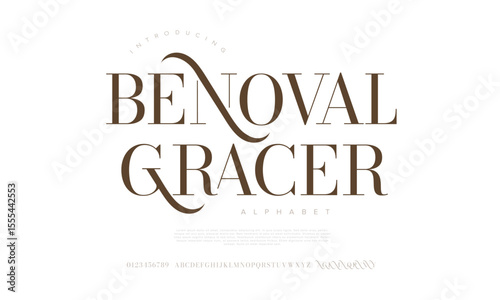 Stylish serif display font with elegant swashes, ideal for high-end branding and artistic designs
