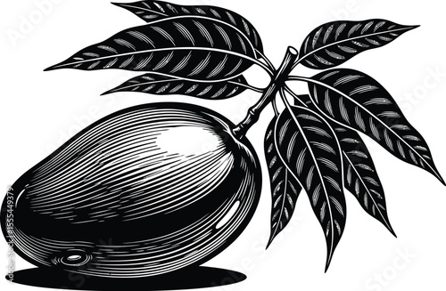 Monochrome illustration of a mango fruit with leaves in a detailed engraving style design element